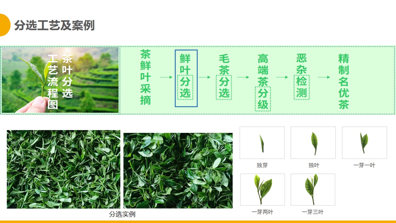 http://rmrchh.com.cn/Upload/ueditor/1681280335278777.jpg