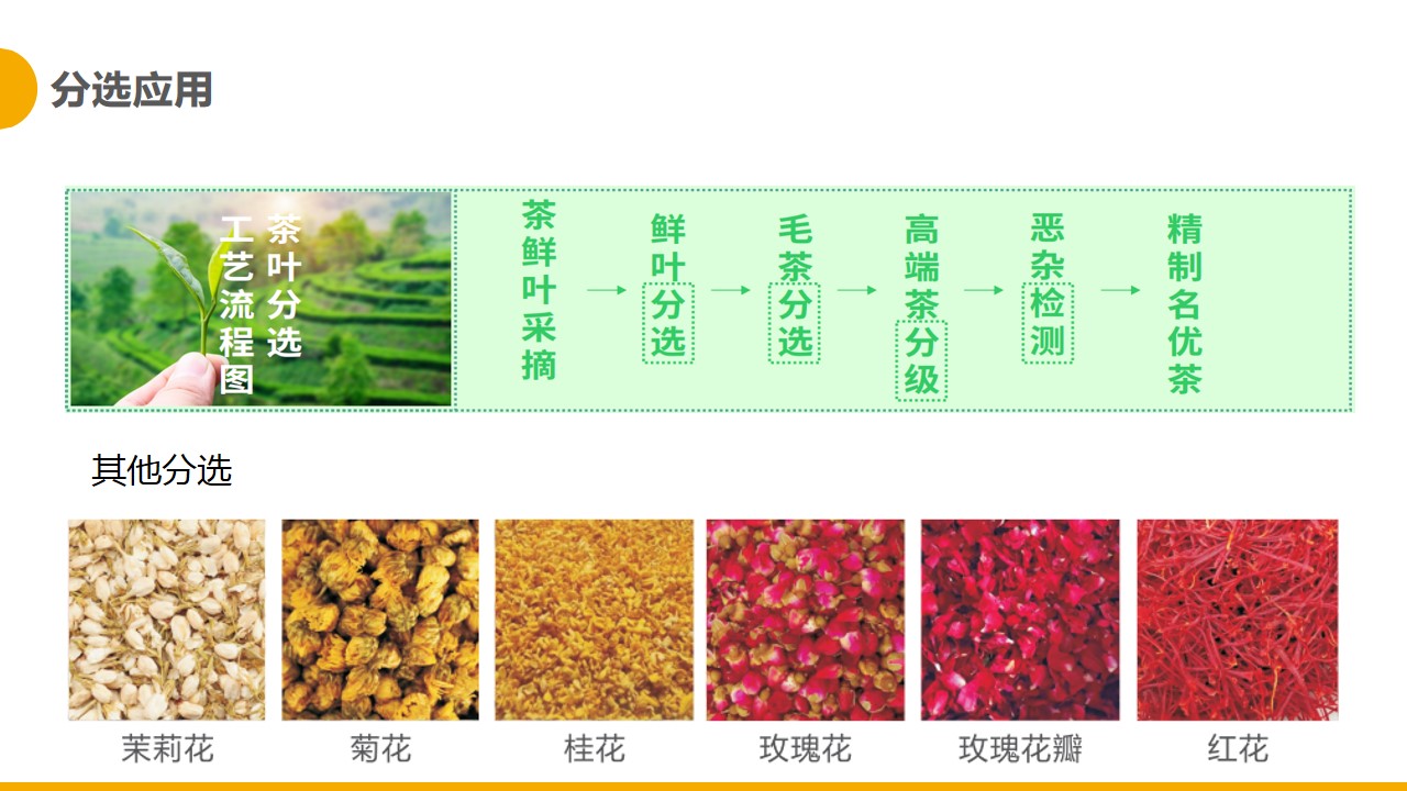 http://rmrchh.com.cn/Upload/ueditor/1681365602994585.jpg