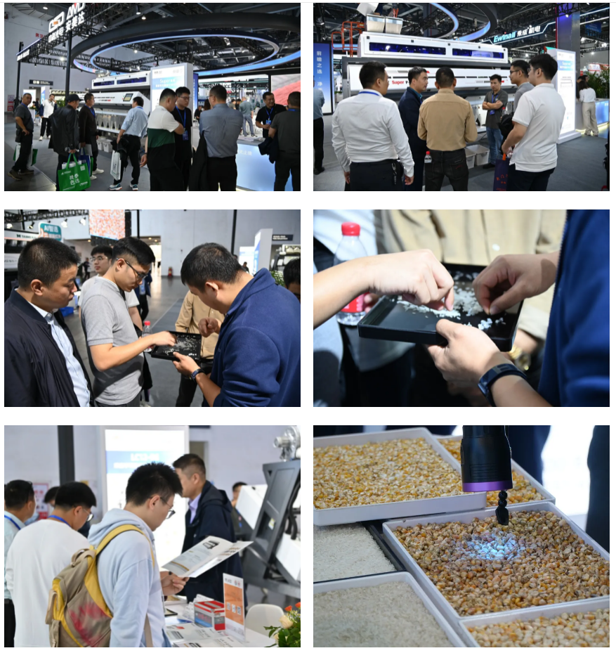 http://rmrchh.com.cn/Upload/ueditor/1731921914805513.png