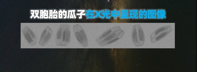 http://rmrchh.com.cn/Upload/ueditor/1739781751262784.png