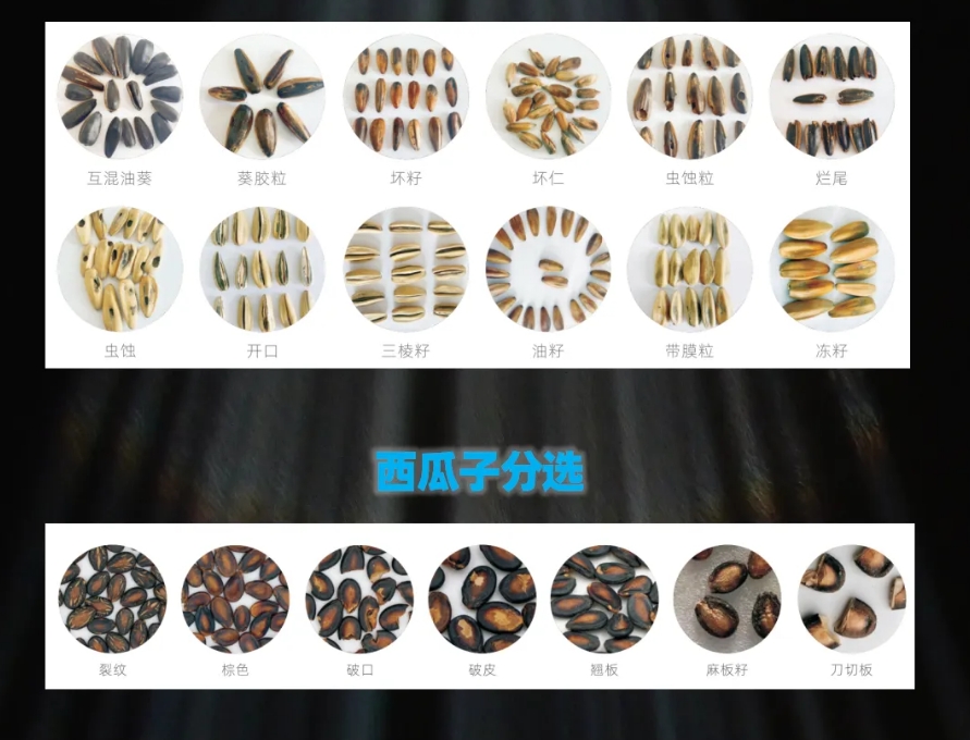 http://rmrchh.com.cn/Upload/ueditor/1739781790152247.png