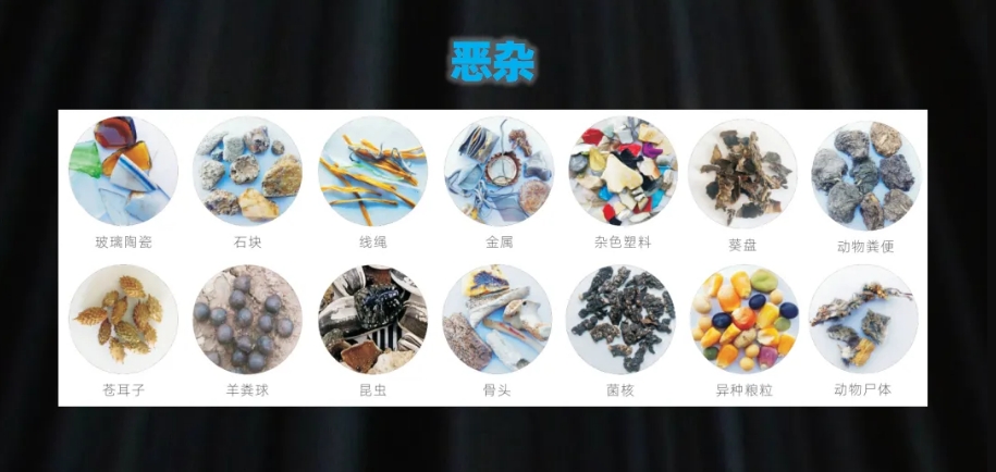 http://rmrchh.com.cn/Upload/ueditor/1739781798851232.png
