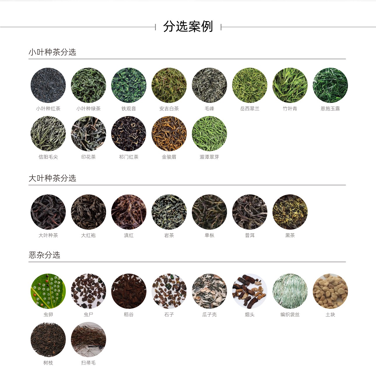 http://rmrchh.com.cn/Upload/ueditor/1743476196283921.jpg