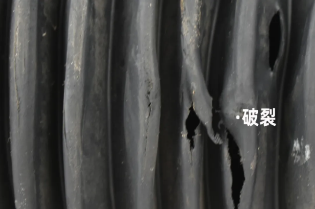http://rmrchh.com.cn/Upload/ueditor/1744248093706159.png