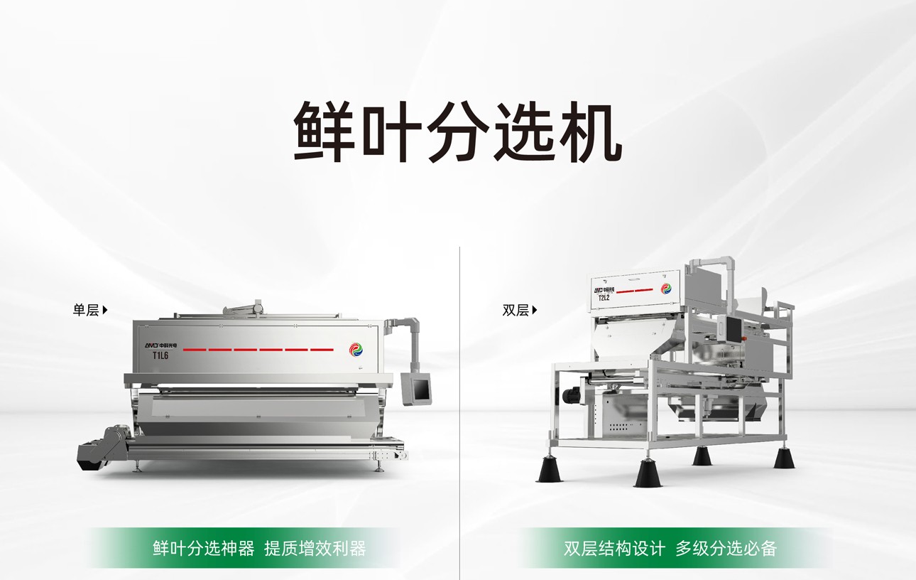 http://rmrchh.com.cn/Upload/ueditor/1747984764254801.jpg