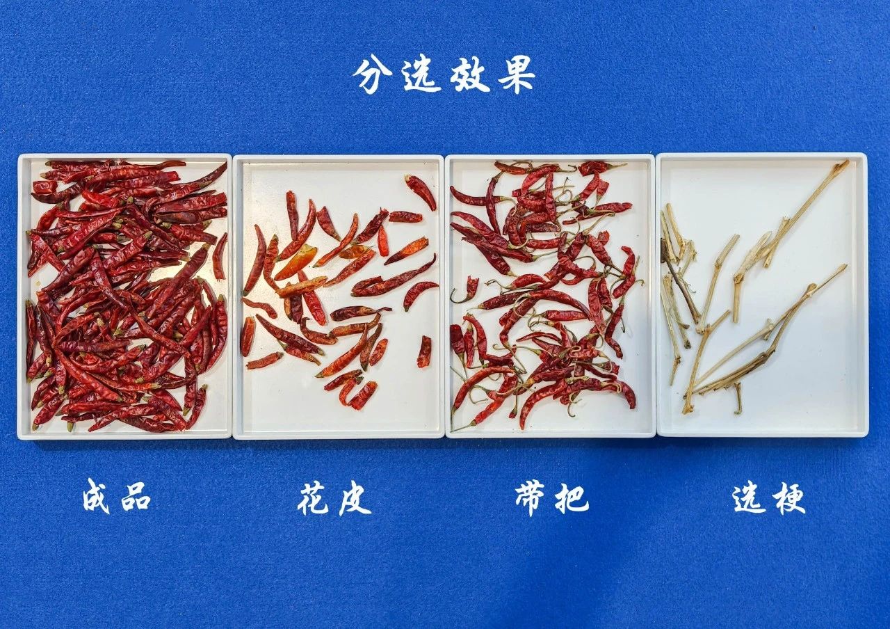 http://rmrchh.com.cn/Upload/ueditor/1748584420848915.jpg